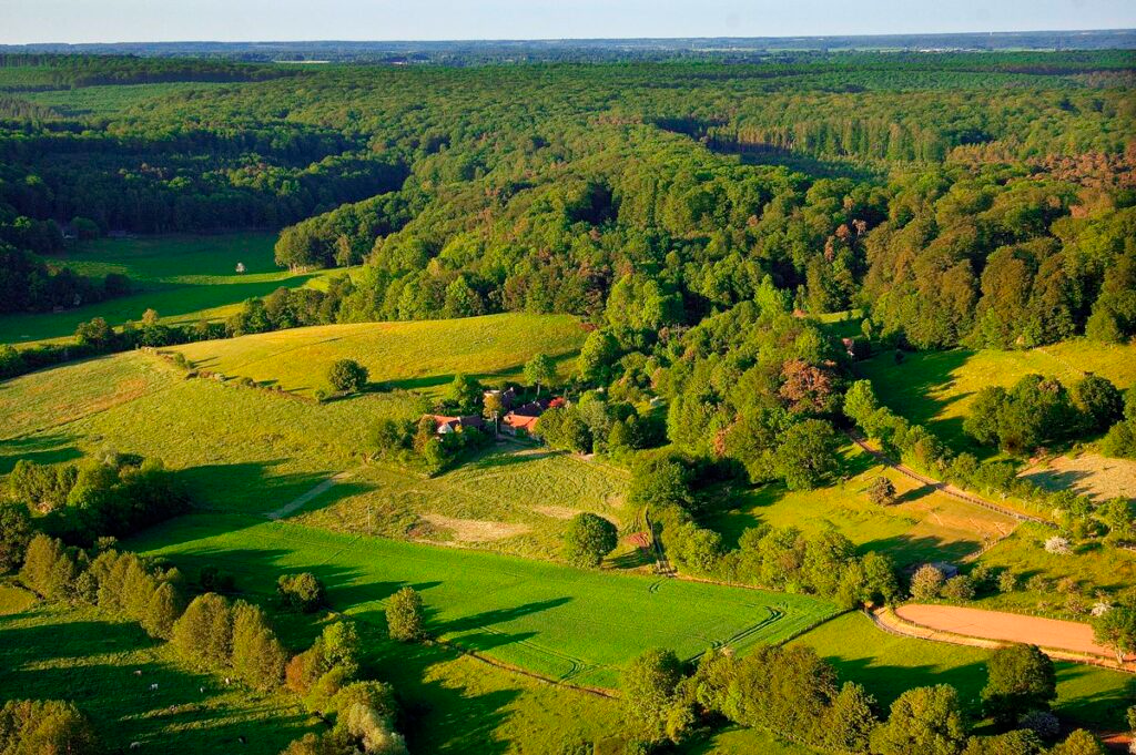 domaine-1024x681