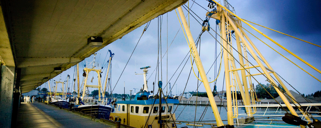 bootje nieuwpoort
