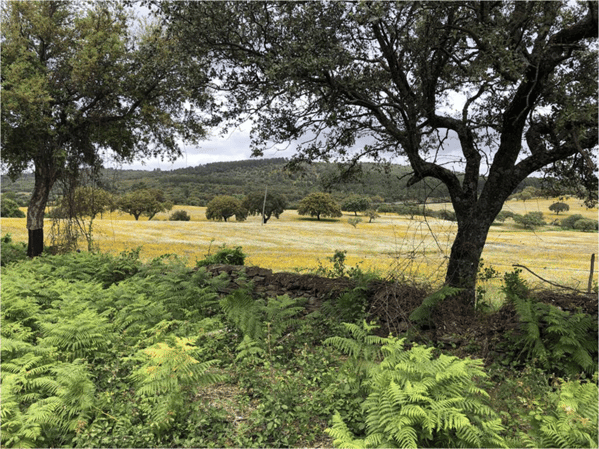 wandelingacenadelaborrega
